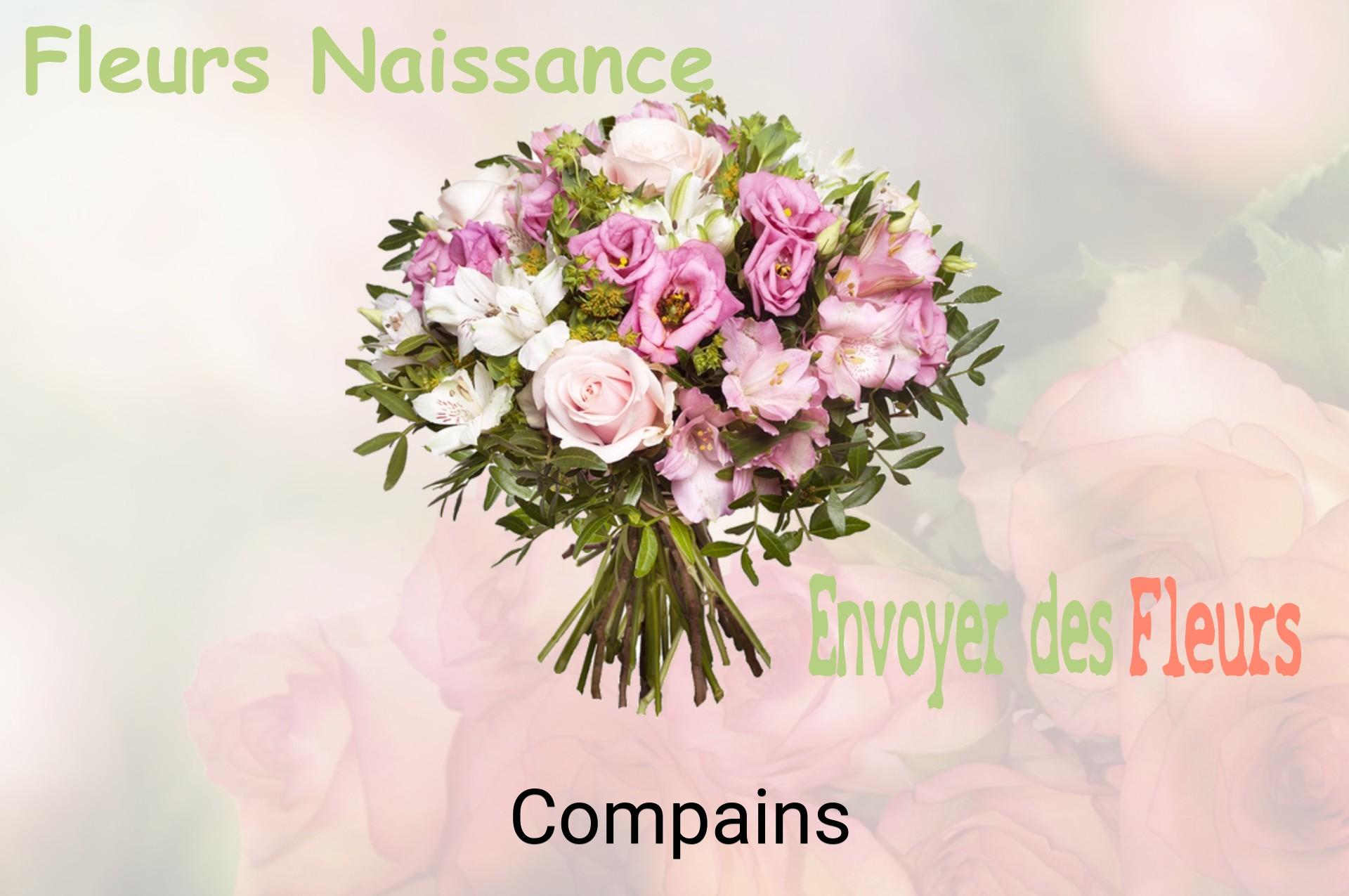Bouquet de fleurs de naissance livré à Compains